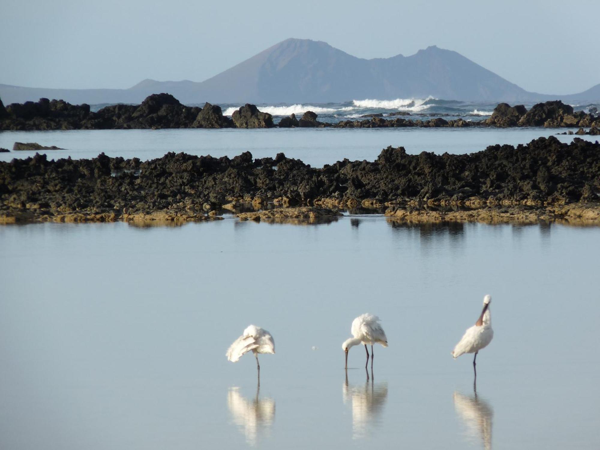 Casa Ana Y El Mar - Para Enamorados Del Mar - Lanzarote Тегисе Екстериор снимка